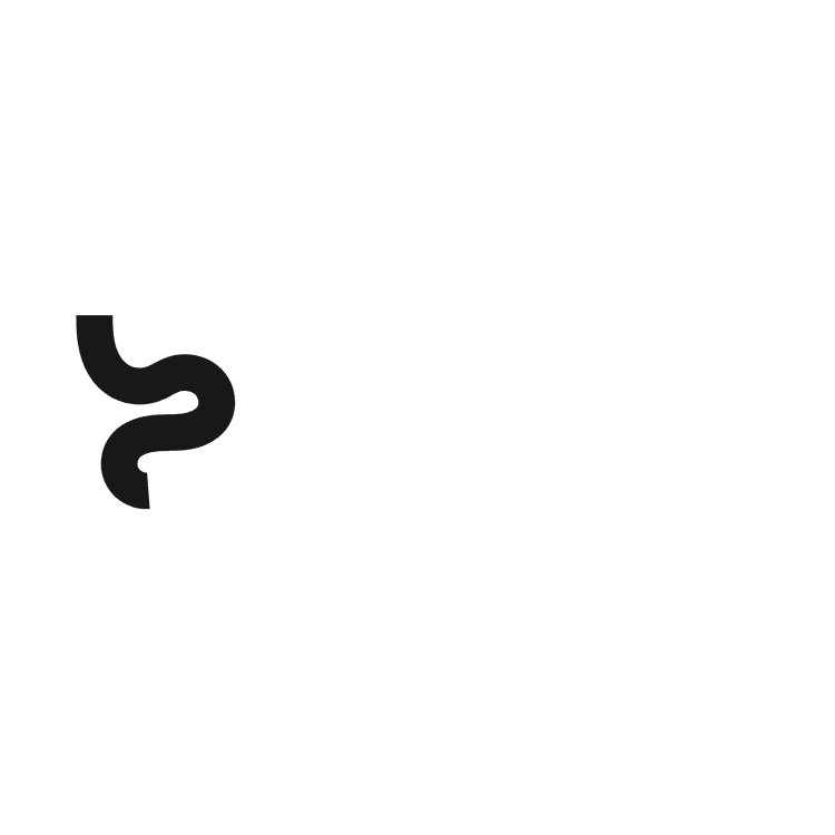 Pure Studios Logo Large
